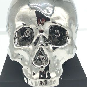 Pottery skull , metallic color, cranium.